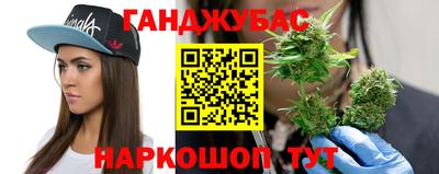 spice Камышлов