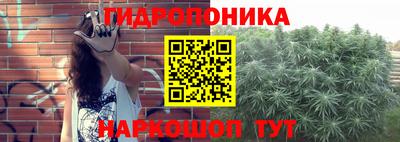 spice Камышлов