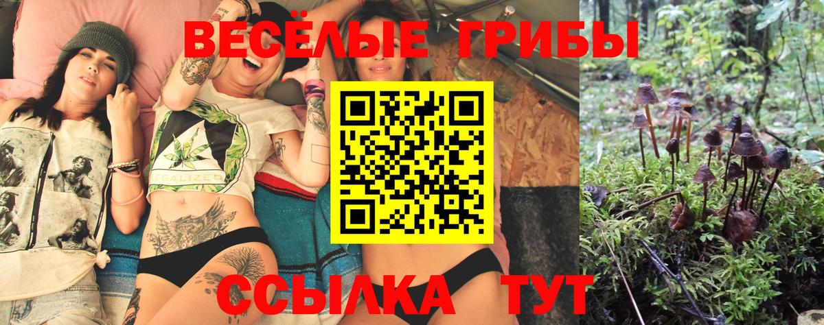 Кропоткин  Галлюциногенные грибы мухоморы  Вход с VPN  дарнет шоп  Псилоцибиновые грибы Psilocybine cubensis 